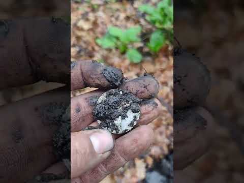 minlab vanquish 540 1800 park huge old silver yaaaa