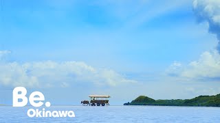 動画1