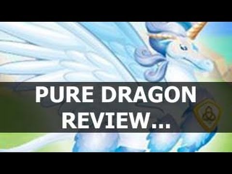 Dragon City PURE DRAGON Detailes - Everything You Need To Know