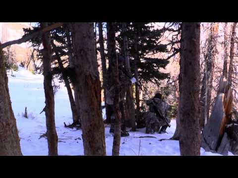 Long Range Pursuit - High Country Wyoming Elk Hunt