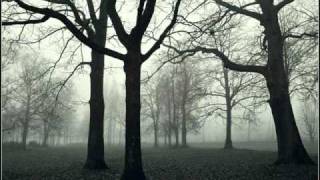 Kalisto Muni - Echoes From The Past  Part 1(Marduk  cover)