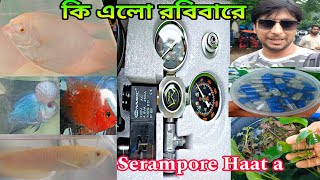 শখের হাট শ্রীরামপুরে রবিবার | Fish Market | Fish Pet Shop Near Me | Fish Shop Near Me | Fish Shop 