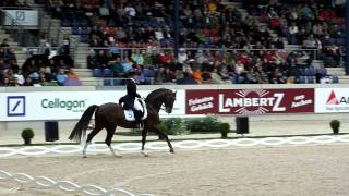 Wideo od Belissimo NRW