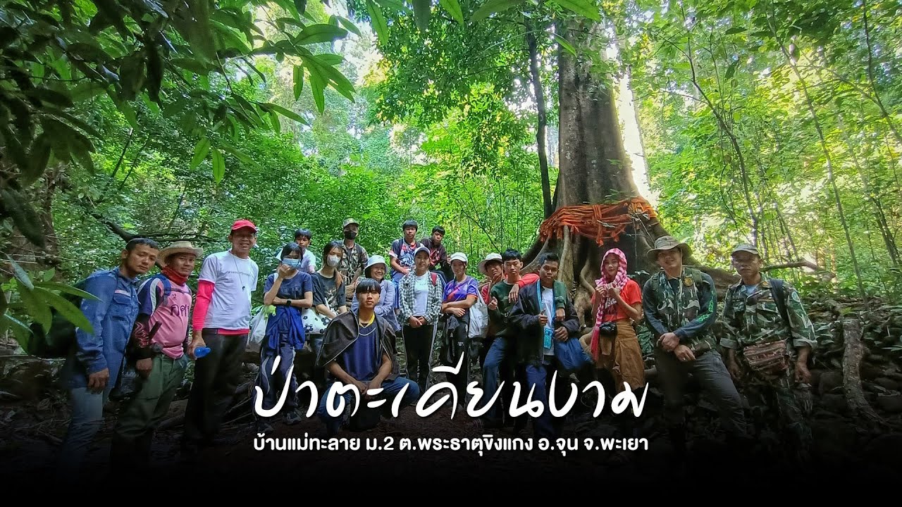 Pa Yai Khian Ngam