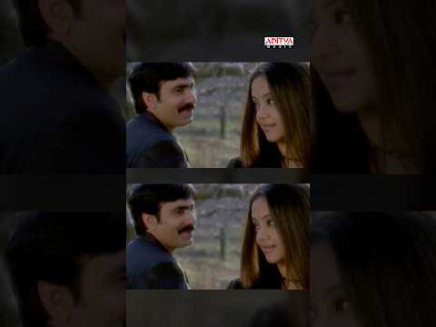 Shock Movie (Song)