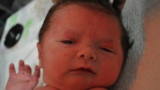 Turn Around by Malvina Reynolds, Harry Belafonte & Allen Greene