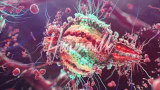 C2C - Le Banquet (Feat. Kentaro & Netik And Rafik & Tigerstyle & Vajra)