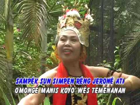 Temuk - Manise Lambe