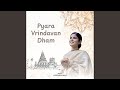 Pyara Vrindavan Dham