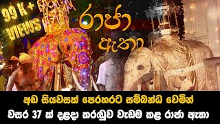 අඩ සියවසක් පෙරහරට �