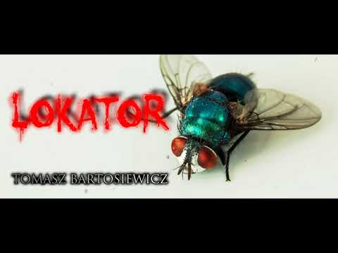 Lokator - CreepyPasta (PL)