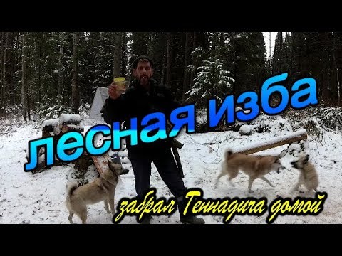 Лесная изба.Забрал Геннадича домой.