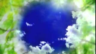 Bill Miller The Blue Sky