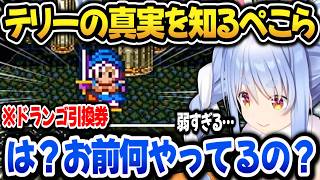 テリーの真実を知ってテリーに辛辣になるぺこらｗ【ホロライブ切り抜き/兎田ぺこら】