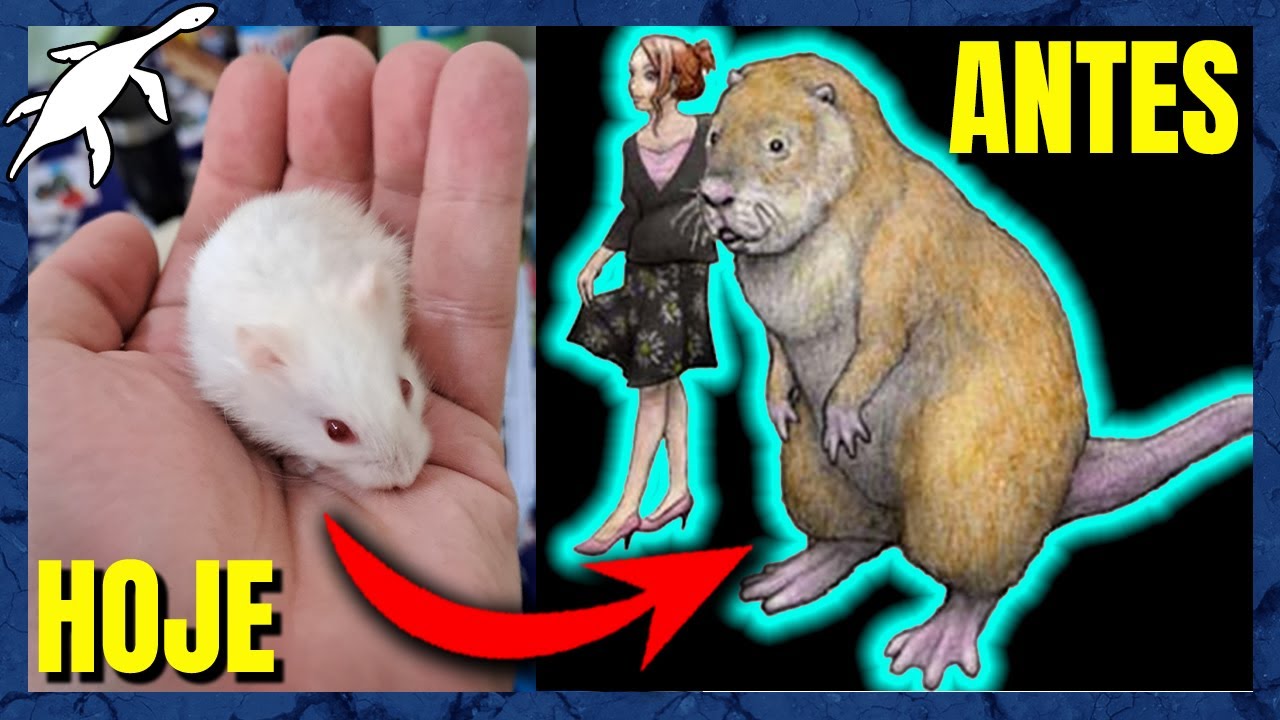 ORIGEM e EVOLUÇÃO dos ROEDORES (Rodentia)