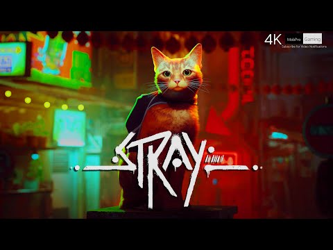 STRAY - 4K HDR 60fps Gameplay Walkthrough High Graphics No Commentary - Games for (PS5,PC)