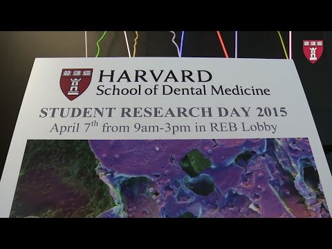 2015 Donald B. Giddon Lecture: The Brain on Stress | Bruce S. McEwen, PhD