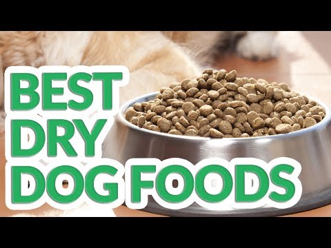 Best Dry Dog Food 2019 - 10 TOP Dry Dog Foods