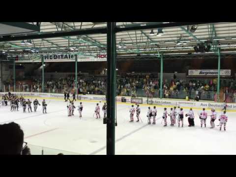 Krefeld Pinguine vs. EC Bad Nauheim Impressionen aus der Rheinlandhalle 2