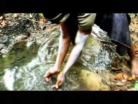 Bosuca musica MOBANGO