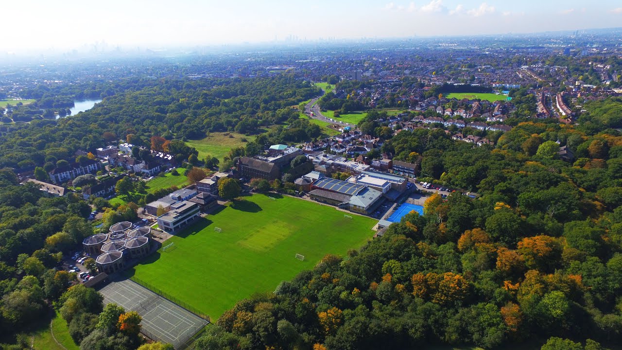 Forest School from above