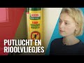 Myrthe's huis al weken smerig en stinkend door lek riool