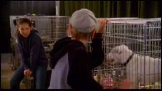 superdogsvideo