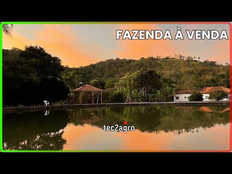 🌱 36,5 ALQUEIRES EM PIRENÓPOLIS - FAZENDA À VENDA EM GOIÁS [🌱DUPLA APTIDÃO] #fazenda #tec2agro #agro