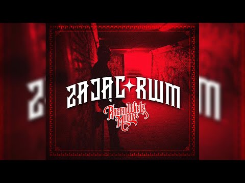 Zając RWM - Ile razy(REMIX)