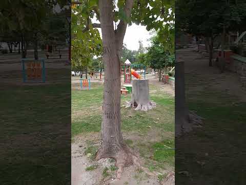 Luyaba pueblito de Córdoba#traslasierracordoba #traslasierra