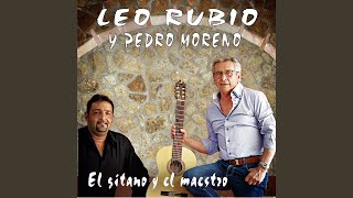 Dónde Estás Corazón