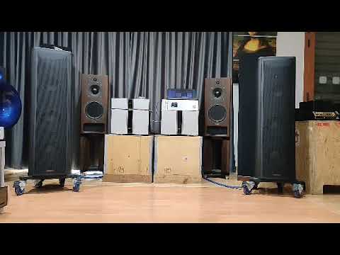 Magico S5 Mk2 2022 Reverb 