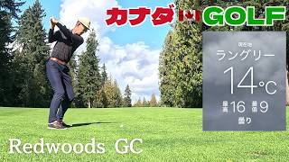 No-308【バンクーバー】たくさんダフりました! ぬかるんだフェアウェイに苦戦 Redwoods GC