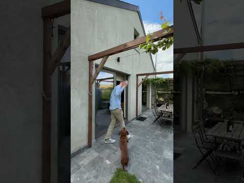 Vidéo