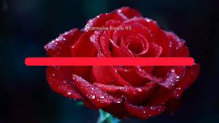 Download lagu Karaoke Slank - Mawar Merah mp3