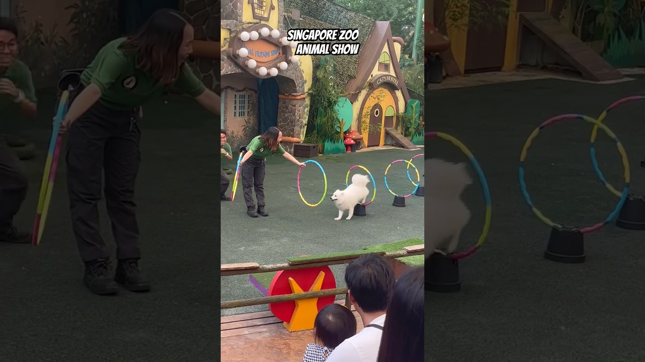 YouTube Short thumbnail