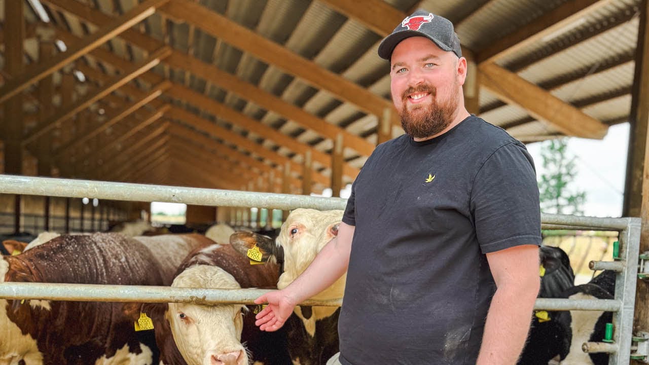 Andreas Lydigh’ suksess med storfeproduksjon