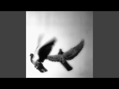 Acath video