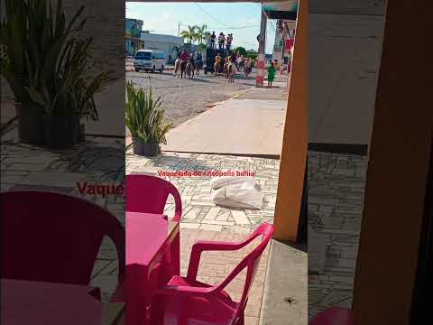 vaquejada de crisópolis bahia