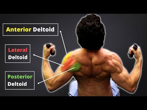 How to ISOLATE & BUILD ALL 3 DELTOID HEADS! (Part 2 - Everything you NEED to Know About Shoulders)