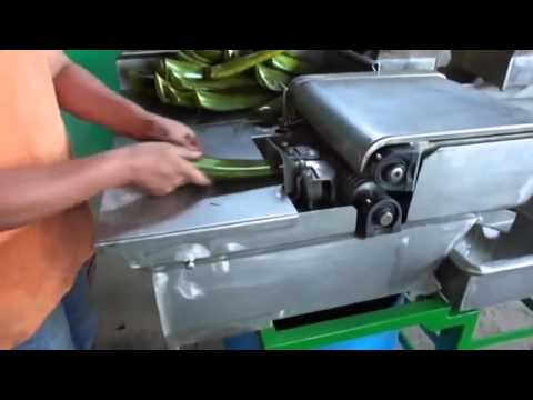 Automatic aloe vera peeling machine