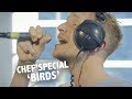 Chef'Special - 'Birds' live @ Ekdom in de Ochtend