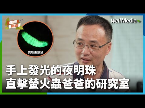 桃園龜山賞螢秘境！超近距離觀賞螢火蟲體驗！手上發光的夜明珠滿山遍谷【生態旅遊】 (螢火蟲之父_上集)