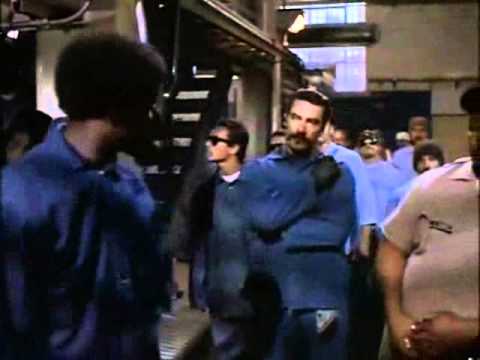 sangre por sangre día d muertos