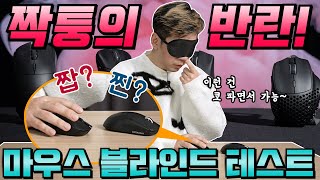 퀘이사존