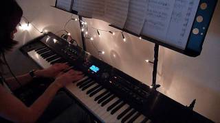 Ayreon - Ye Courtyard Minstrel Boy - piano cover - [HD]