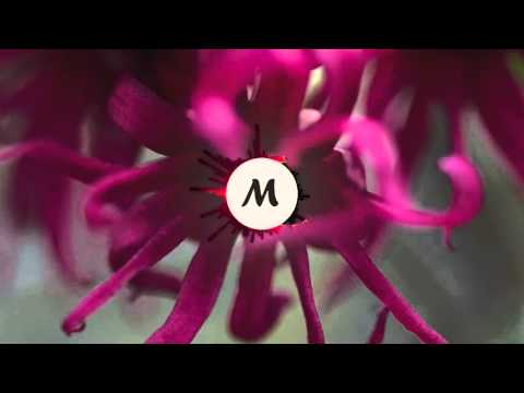 Paxel - Here And Now