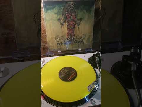 fleshrot - unburied corpse. ( death metal)