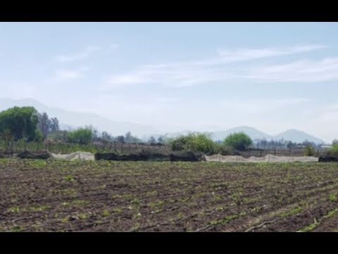 Rengo, Rancagua . Región de O`Higgins 5198 M2