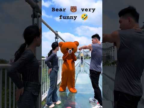 muddy bear is really smart and mischievous! #shorts #funny #comedy